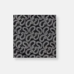 New Edition Fashion Adelmo Paisley Pocket Square> Pocket Squares