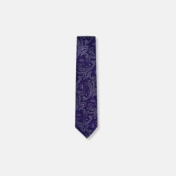 New Edition Fashion Bagwell Slim Paisley Tie> Ties
