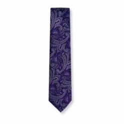 New Edition Fashion Bagwell Slim Paisley Tie> Ties