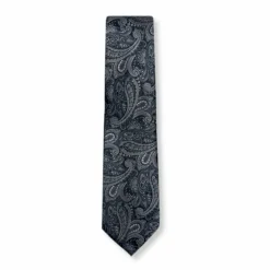 New Edition Fashion Bagwell Slim Paisley Tie> Ties