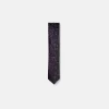 New Edition Fashion Bainer Skinny Paisley Tie> Ties