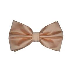 New Edition Fashion Ben Solid Bow Tie> Ties