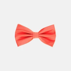 New Edition Fashion Ben Solid Bow Tie> Ties