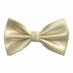 New Edition Fashion Ben Solid Bow Tie> Ties