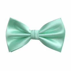 New Edition Fashion Ben Solid Bow Tie> Ties