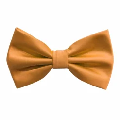 New Edition Fashion Ben Solid Bow Tie> Ties