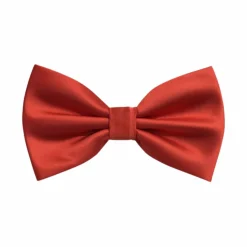 New Edition Fashion Ben Solid Bow Tie> Bow Ties