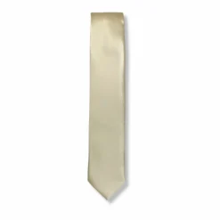 New Edition Fashion Bennett Solid Skinny Tie> Ties