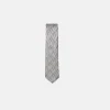 New Edition Fashion Boe Skinny Striped Tie> Ties