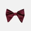 New Edition Fashion Brandon Long Bow Tie> Ties
