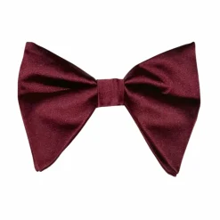 New Edition Fashion Brandon Long Bow Tie> Ties