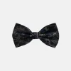 New Edition Fashion Braydon Paisley Bow Tie> Bow Ties
