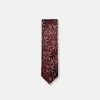 New Edition Fashion Danford Classic Paisley Tie> Ties