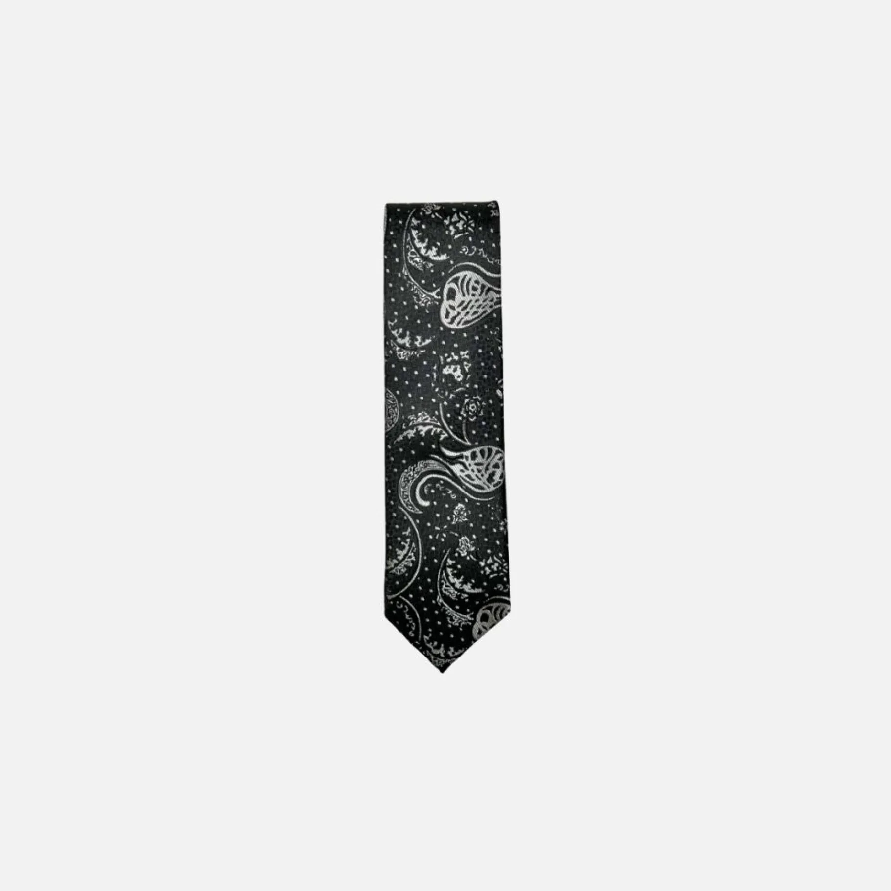 New Edition Fashion Danner Classic Paisley Tie> Ties