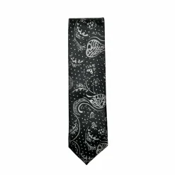 New Edition Fashion Danner Classic Paisley Tie> Ties