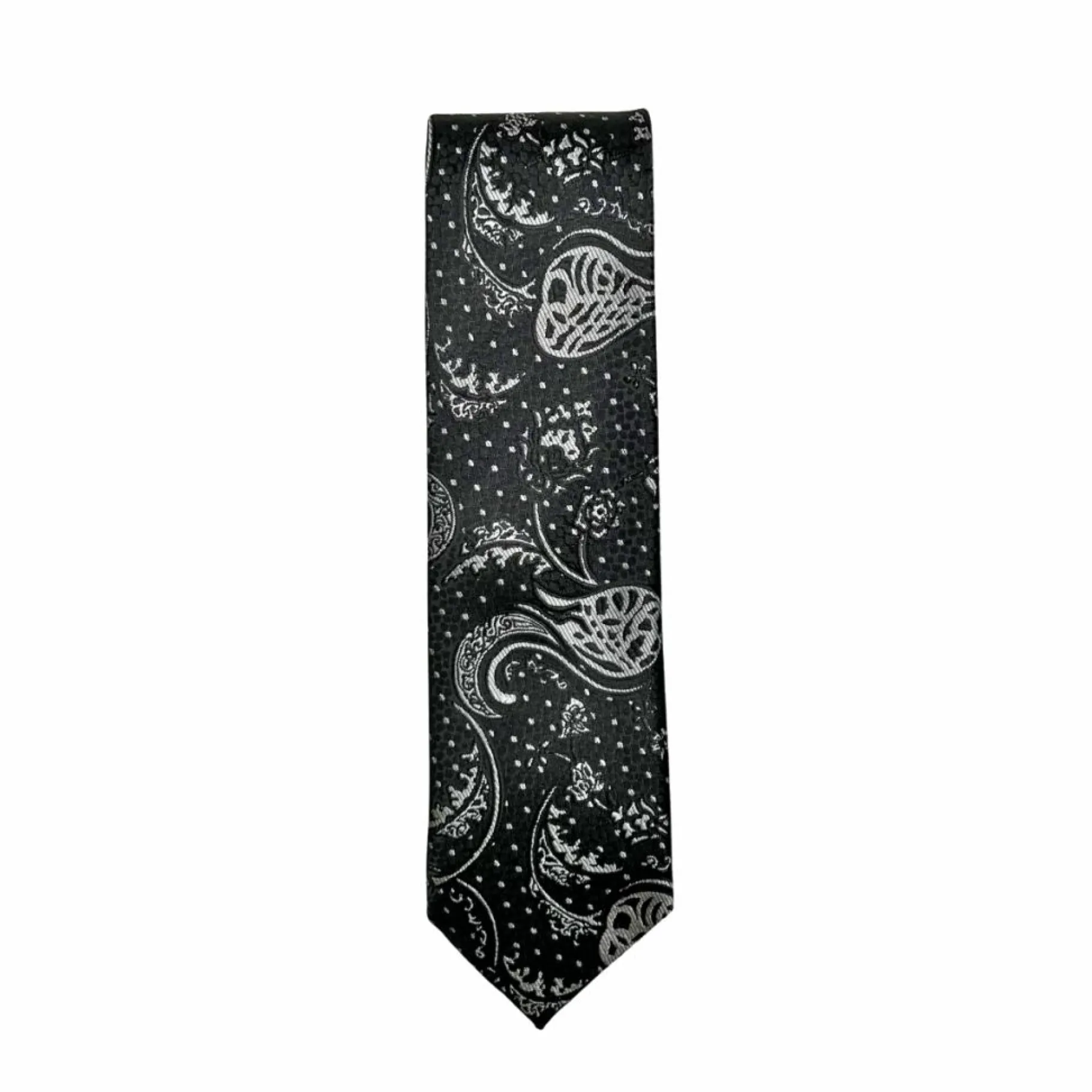 New Edition Fashion Danner Classic Paisley Tie> Ties