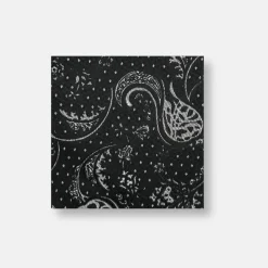 New Edition Fashion Danner Paisley Pocket Square> Pocket Squares