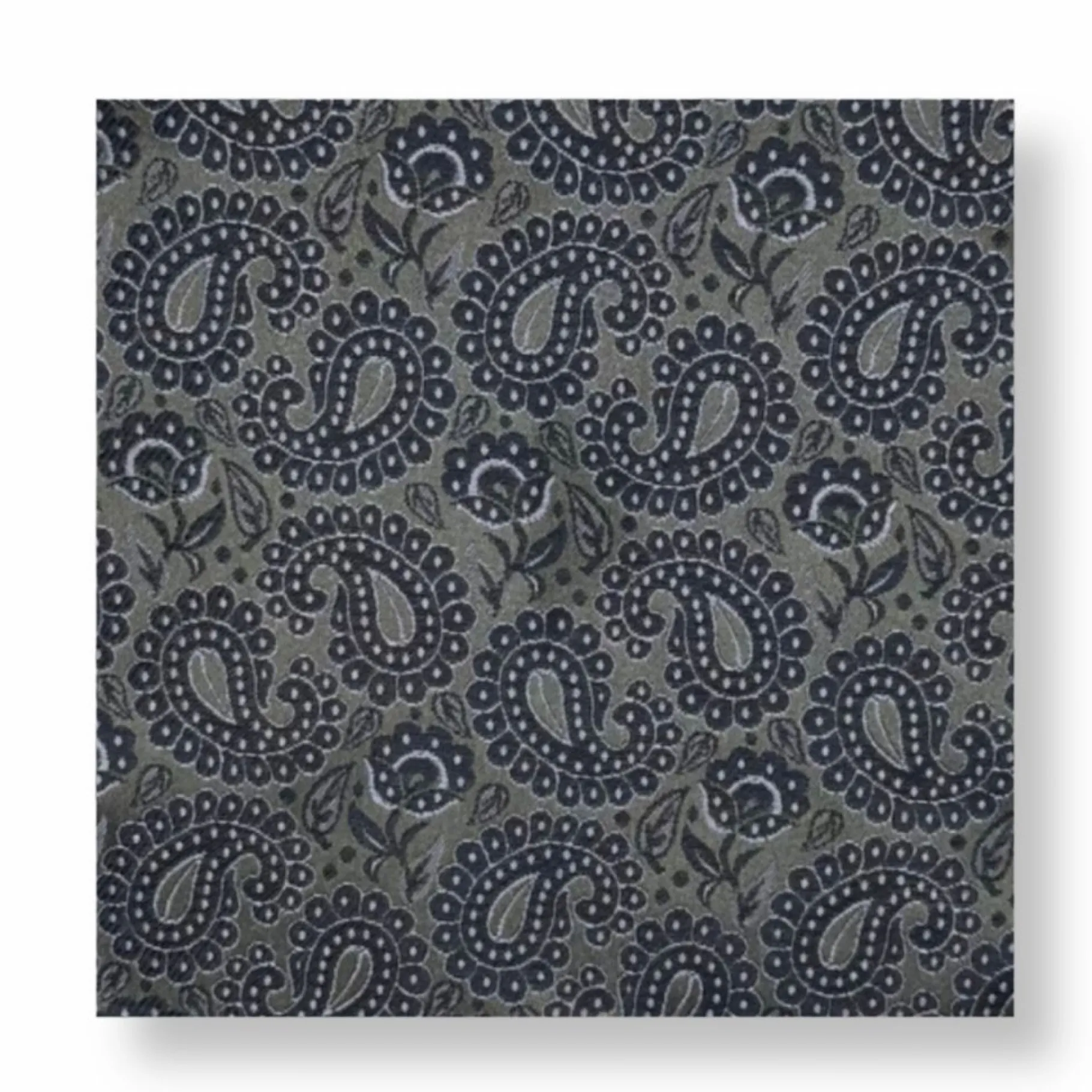 New Edition Fashion Darden Paisley Pocket Square> Pocket Squares