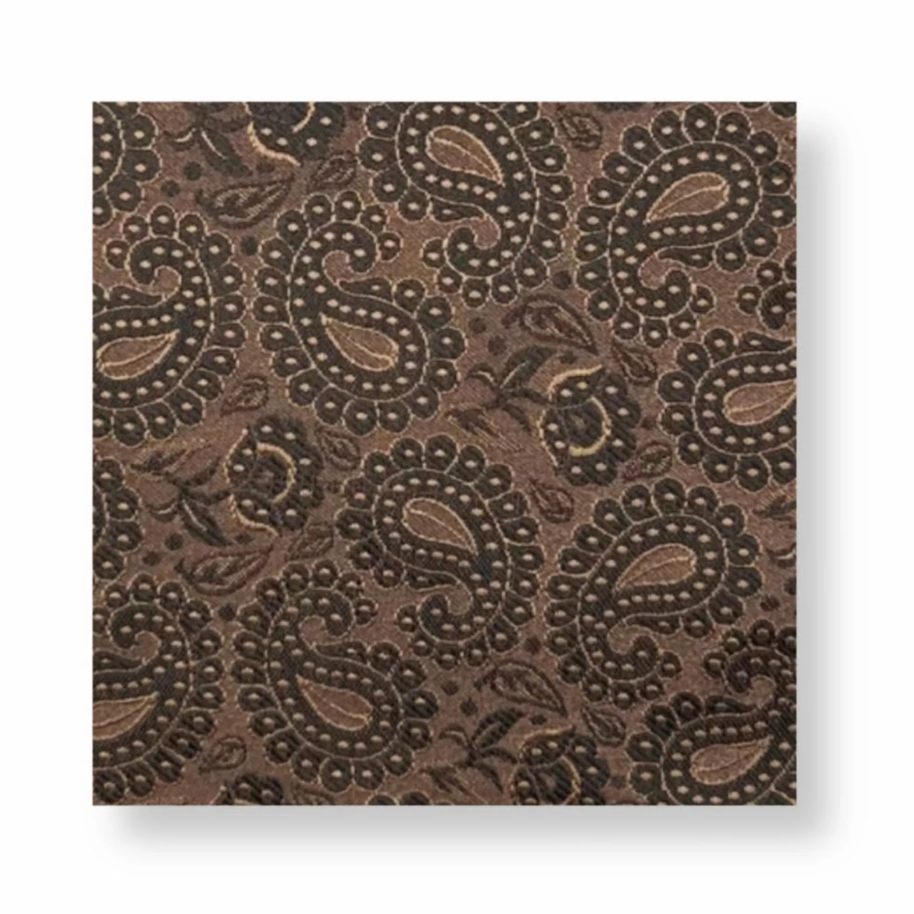 New Edition Fashion Darden Paisley Pocket Square> Pocket Squares