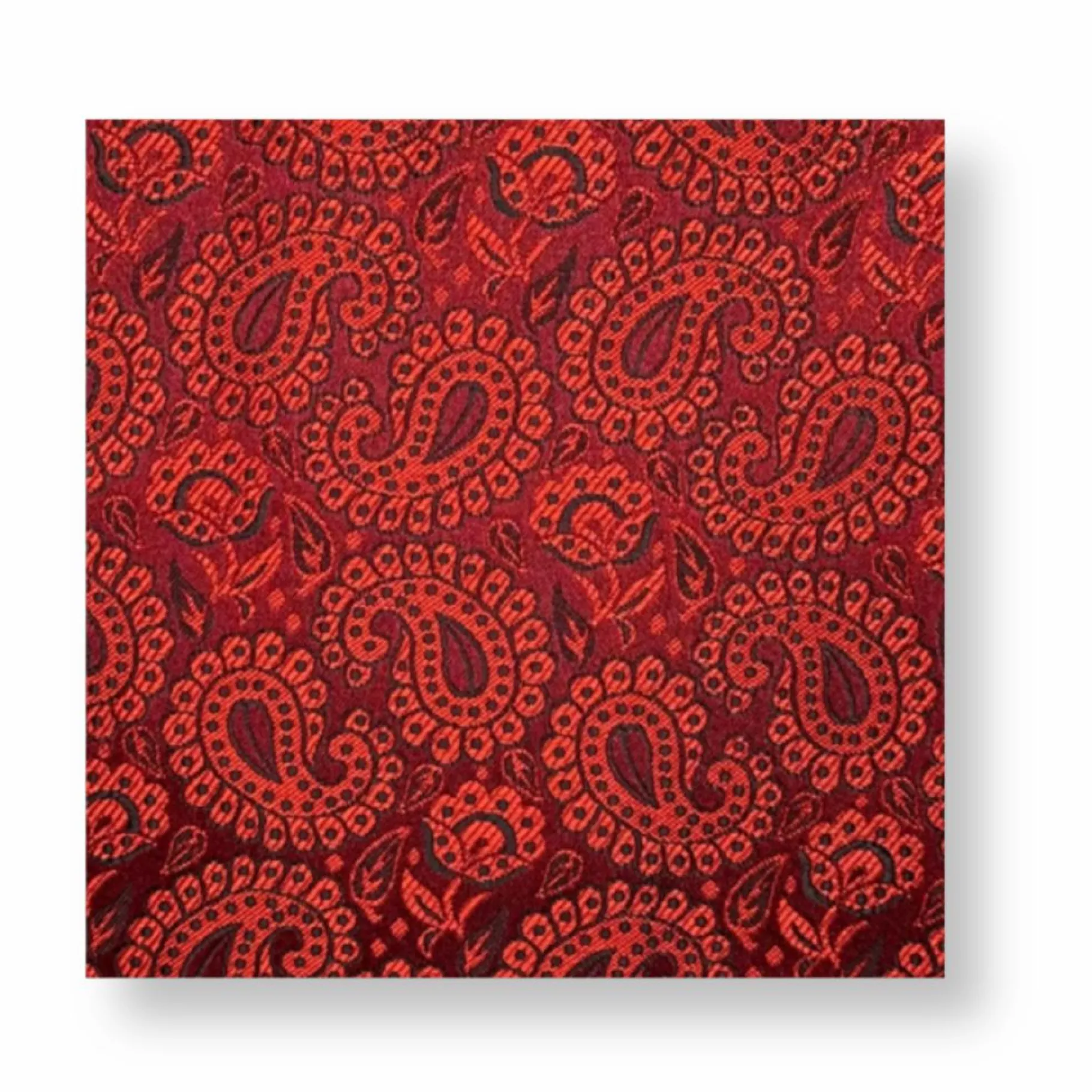 New Edition Fashion Darden Paisley Pocket Square> Pocket Squares