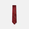 New Edition Fashion Darnell Classic Paisley Tie> Ties