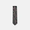 New Edition Fashion Darnell Classic Paisley Tie> Ties