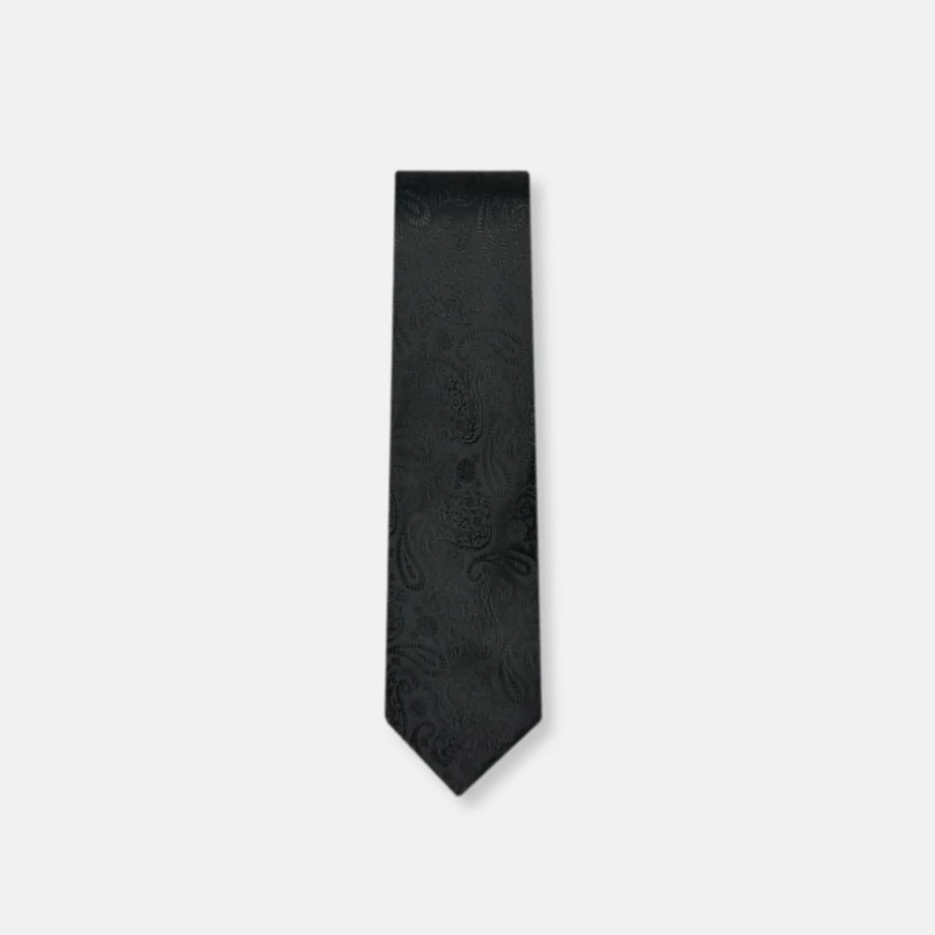 New Edition Fashion Davis Classic Paisley Tie> Ties