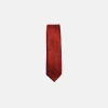 New Edition Fashion Davos Classic Paisley Tie> Ties