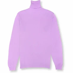 New Edition Fashion Donnie Turtleneck Sweater> Sweaters