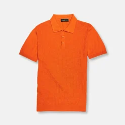 New Edition Fashion Dunbar Knitted Polo Shirt> Button Downs