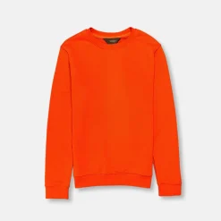 New Edition Fashion Vargas Solid Sweatshirt> Sweaters